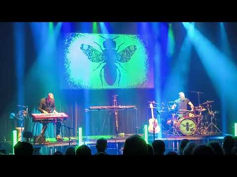 Lazuli - Les Courants Ascendants - 19 octobre 2024