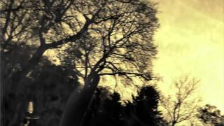 WHITE GOLD SCORPIO : HALLOWEEN ISLAND PROMO