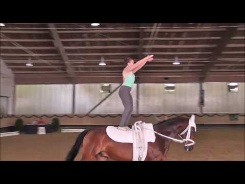 Voltigieren - Turnier Landshut 2018 - Gwendolyn Gröller