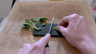 Cooking with the iPhone 5 - Best Kitchen Gadget Ever!