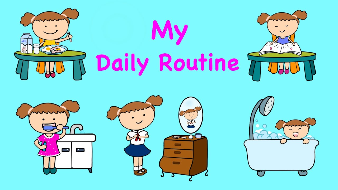My daily routine / Daily routine flashcards