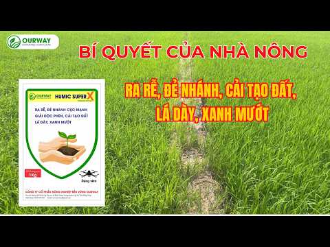 Humic Super X
