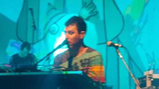 Animal Collective -  Summing the wretch  (live @thefillmore)