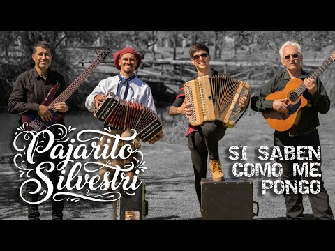 PAJARITO SILVESTRI - SI SABEN COMO ME PONGO
