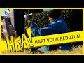 HEA! Jelle verliest zijn hart aan Reduzum