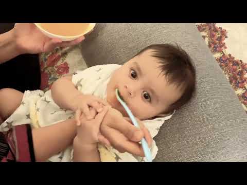 Lovely cute hungry funny baby eating food, baby is eating food first time