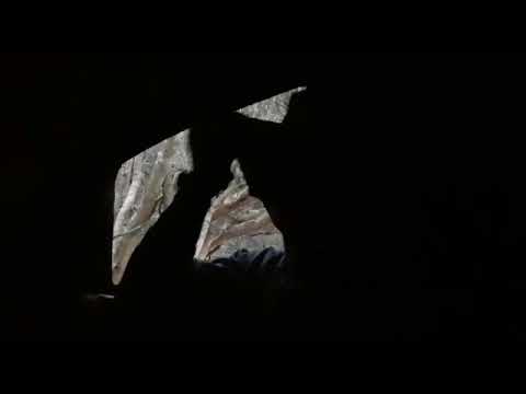 Blue Duiker Hunt with Bow