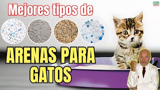 🐱 ¿CUALES SON LOS MEJORES TIPOS DE ARENA PARA GATOS? 🐱