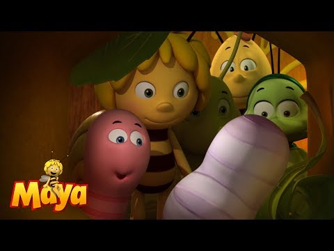 🍯🌹🌻 Bee Day - Maya the bee 🌻🌹🍯