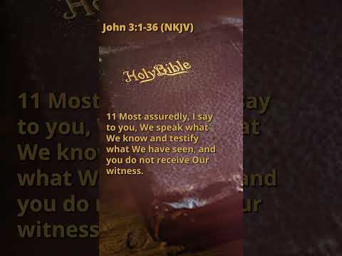 Audio Bible – Book 43 – John NKJV