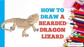 How to Draw a Bearded Dragon Lizard in a Few Easy Steps: Drawing Tutorial for Beginner Artists