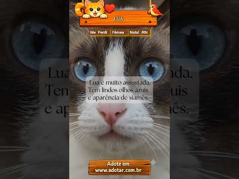 Vídeo de LUA