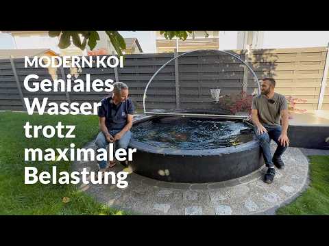 Ali and Artur's outdoor koi pond | Modern Koi Blog #7937