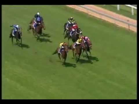 2012-01-06 Clairwood - race 4