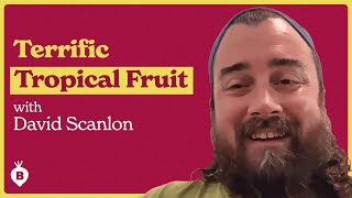 Growing Fruit For Your Climate with David Scanlon | The Beet