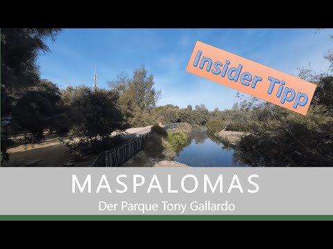 GRAN CANARIA / MASPALOMAS The wonderful Tony Gallardo Park.