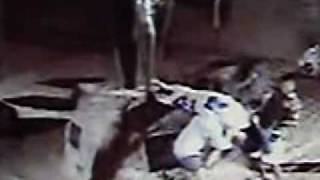 CAUGHT ON TAPE!!!  Two goons attack sweet Hawaiian girl at Waikiki Beach!