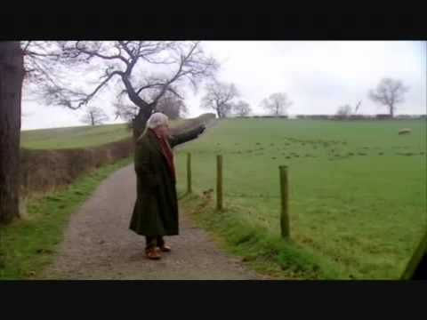 Battle of Bosworth by David Starkey