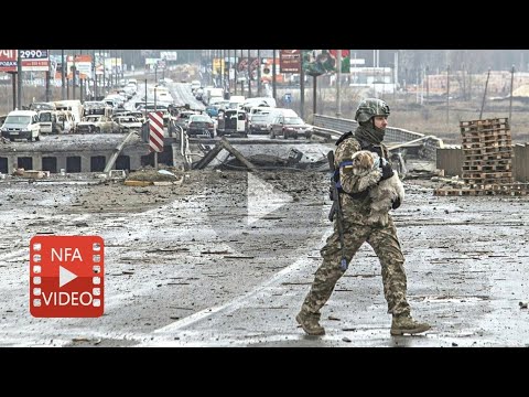 EMERGENCY! A vital animal rescue ambulance in Ukraine is OUT OF COMMISSION! HELP NOW!