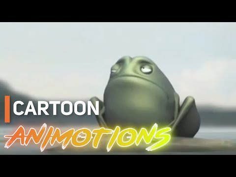 DECENCY 🐸 A Lesson in Compassion