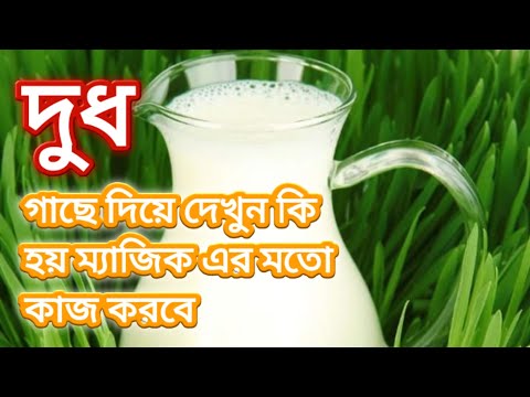 YouTube video about: Which is produced in plants of narora kakrapar tarapur?