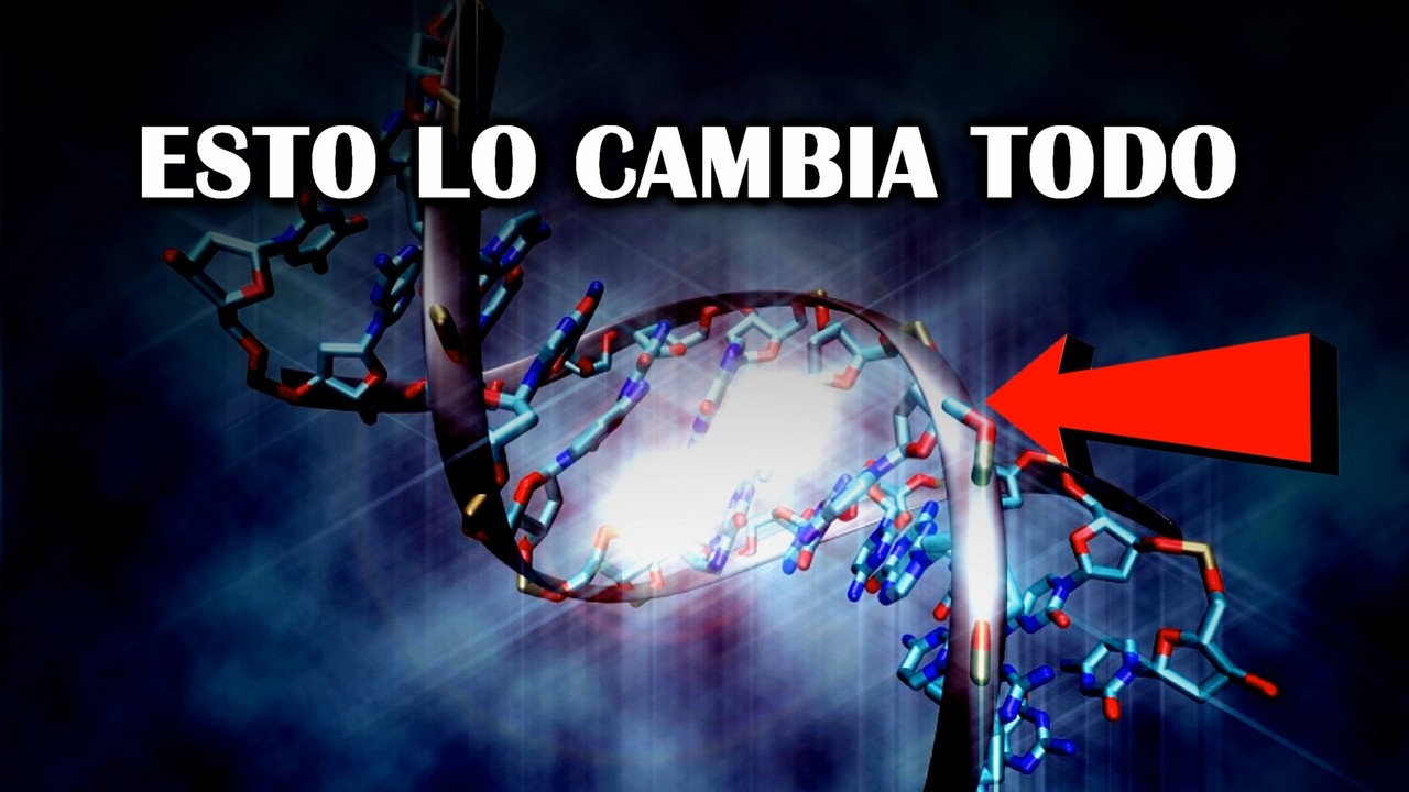 China descubre el MAYOR secreto Oculto de la Evolución