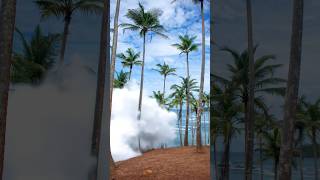 Download lagu Massive Wave Incoming! 🌊🔥 #shorts mp3 Download lagu Massive Wave Incoming! 🌊🔥 #shorts mp3