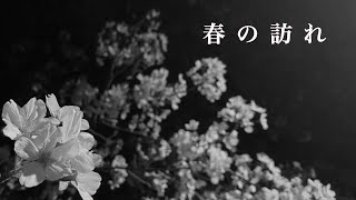 春の訪れ / SETONA 【prod. by TACOS BEATS】