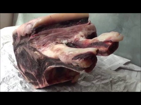 50 Tage 55Grad Reifebeutel