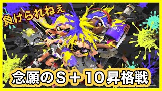 【まりお】念願のS＋10の昇格戦に挑む！！
