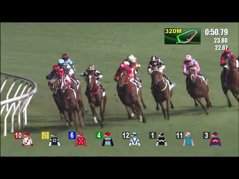 6/4/2022 (565) Star Brite - Z Purton