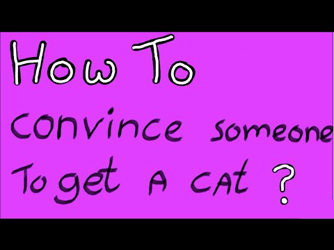 How to convince someone to let you get a cat?