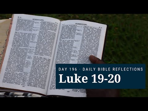 DAY 196 | Luke 19-20 | The Bible in A Year