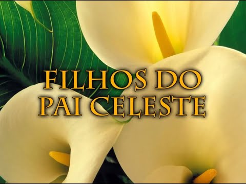 Hinário Adventista 40 Filhos do Pai Celeste