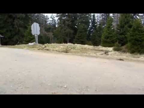 Stempelstelle 136 Eckersprung - Harzer Wandernadel