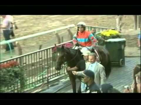 Thoroughbred Week (October 5 2013)