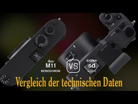 Leica M11 Monochrome vs. Sigma sd Quattro: Ein Vergleich der technischen Daten