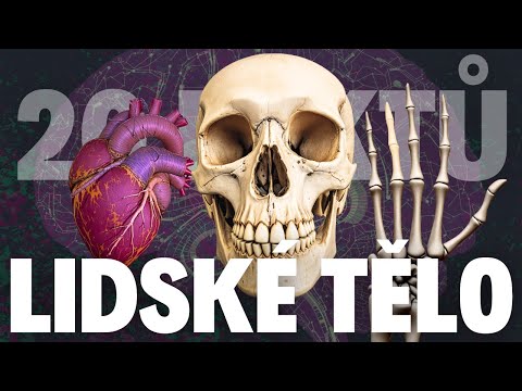 🤯Děsivá Fakta o Lidském Těle: Svítíme ve tmě? Můžeme žít bez srdce? #lidsketelo #zajimavosti #fakta
