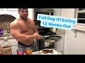 Time To Get Shredded | Full Day of Eating | Pro Bodybuilder Diet 12 Weeks Out