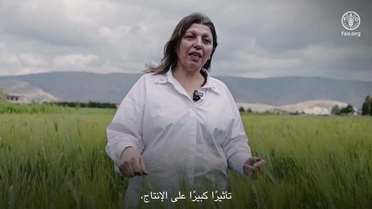 تعزيز إنتاج القمح... ضمانٌ للغد