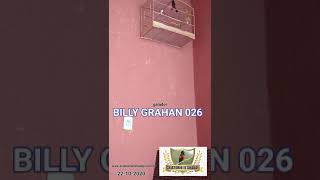 BILLY GRAHAN 026