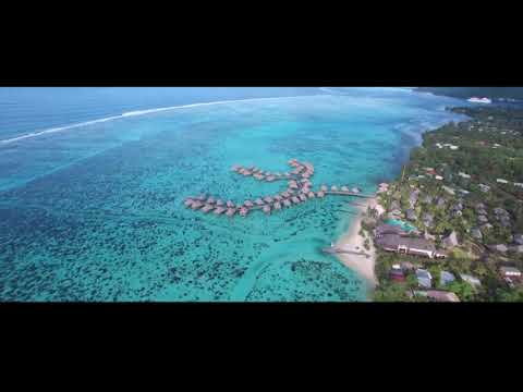 Steve ANGIA - Faarii mai na