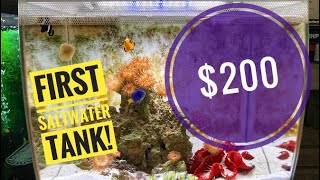 Beginner Saltwater Aquarium with Low Maintenance and Low Cost!!!