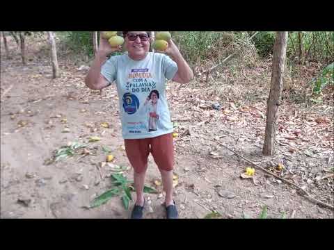 TBT:  Domingo pede nostalgia… e o coração volta no tempo para reviver o que fez sentido.