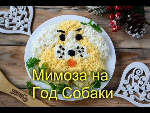 Мимоза на Год Собаки