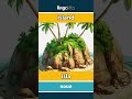 island - isla video thumbnail