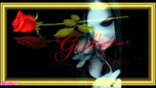 كلمات اغنية اغلى البشر اصالة نصري