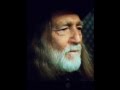 Willie Nelson~ Back To Earth~