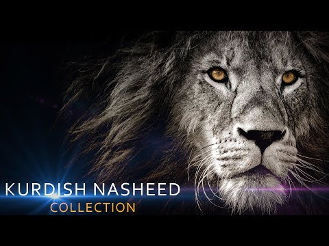 Kurdish Nasheed Collection | نشيد كردي