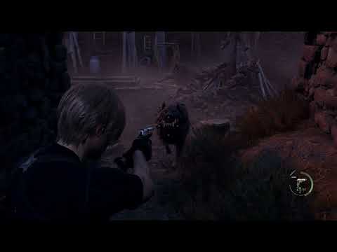 Leon Goes Ultra Instinct then Turns Into John Wick